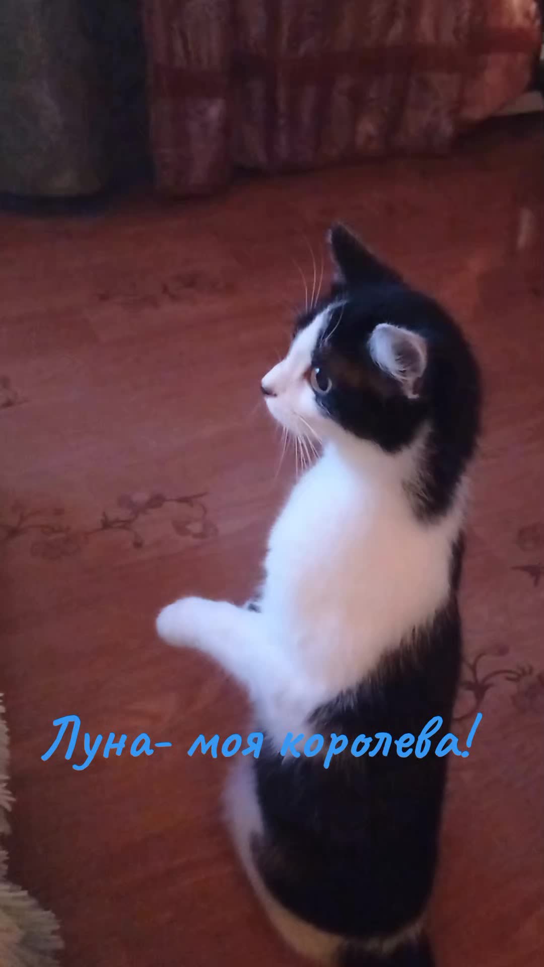 @УМКА
