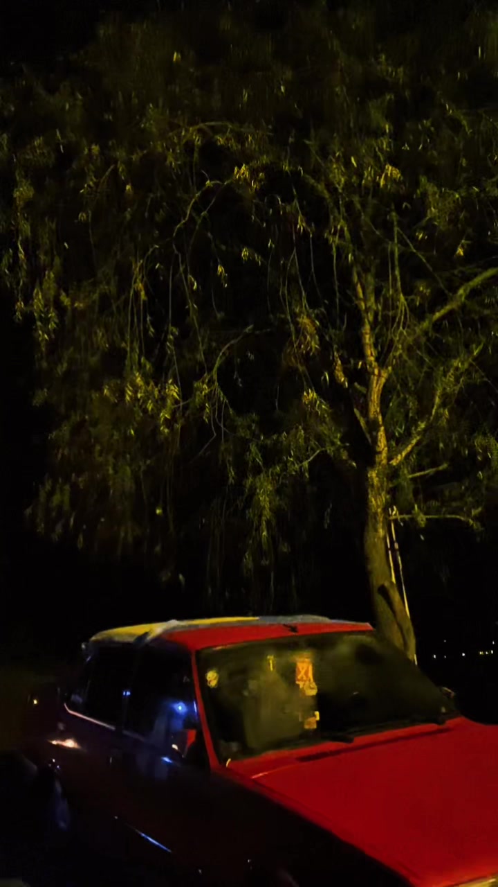 @Gökhan Altunsapan