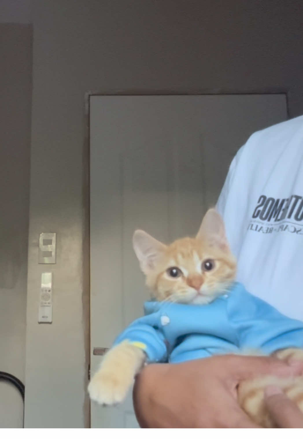 @It’s MEow