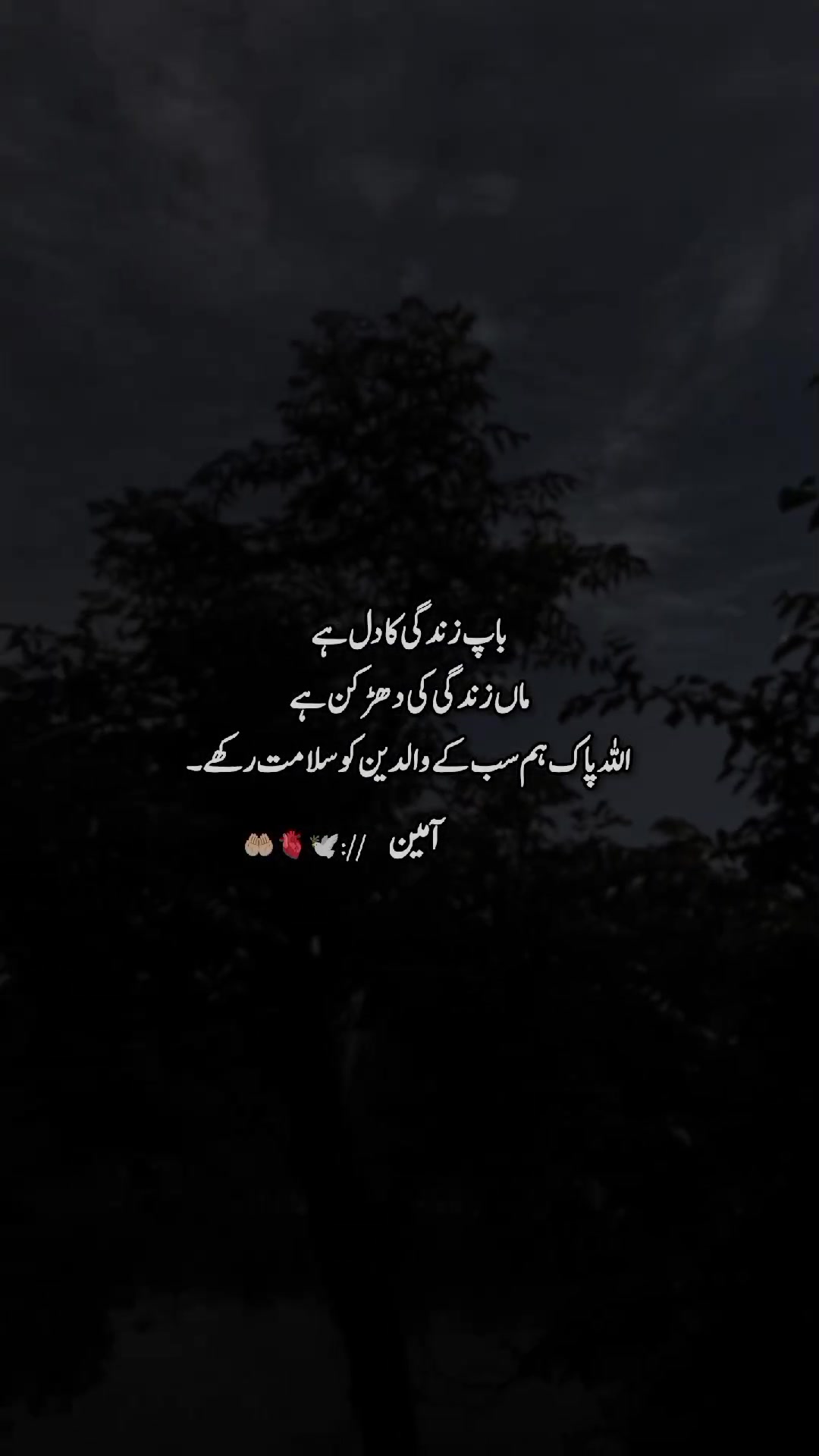 @احمد رائٹس