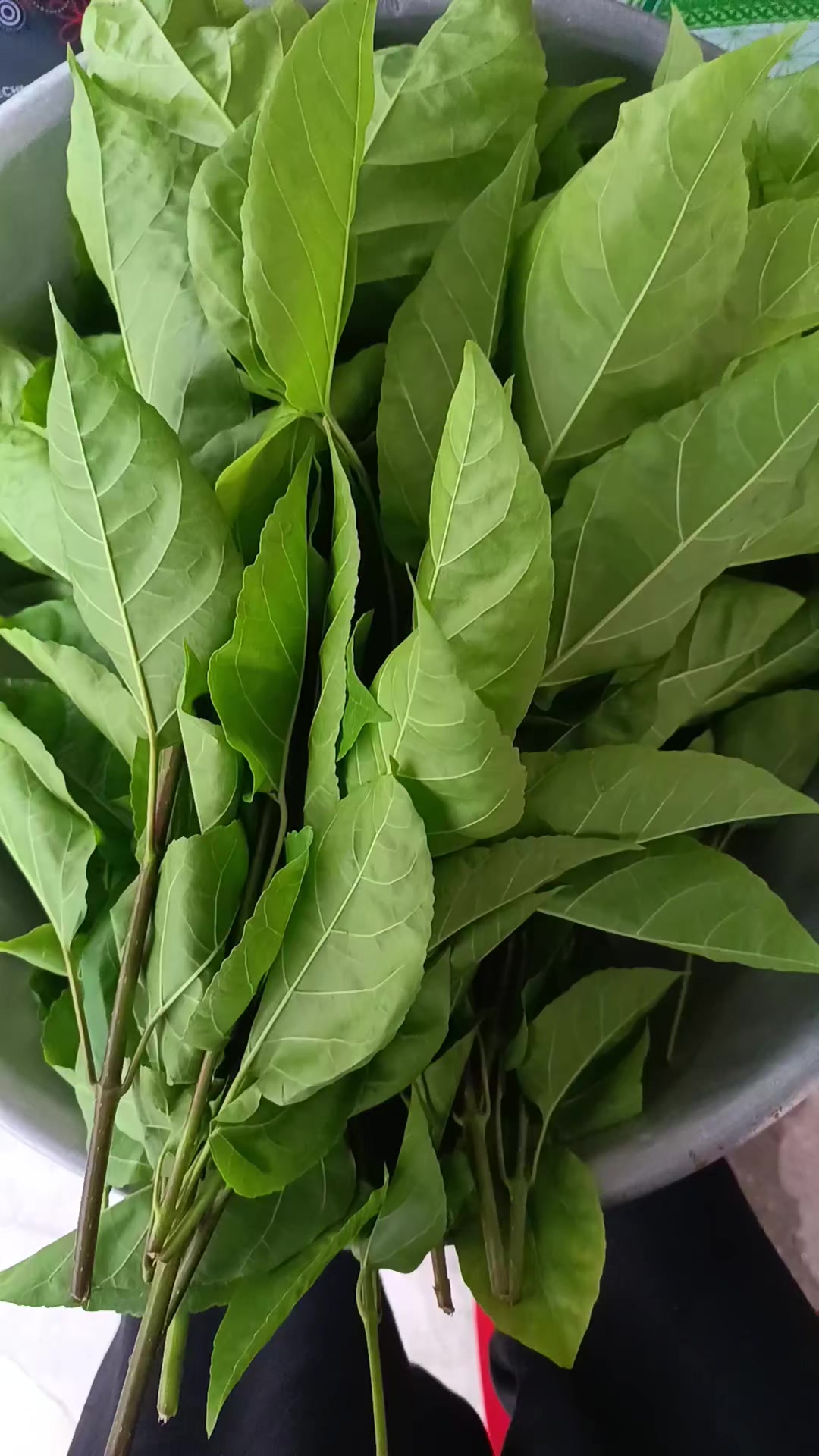 @dieuhanh