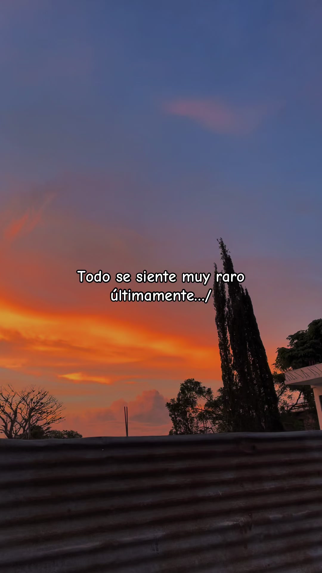@🧃🪐 viviano Gomez 🧃☘️