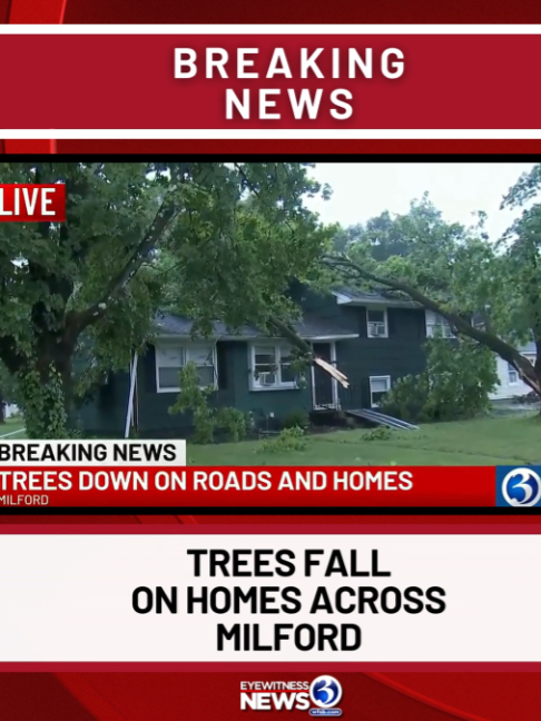 @wfsbnews