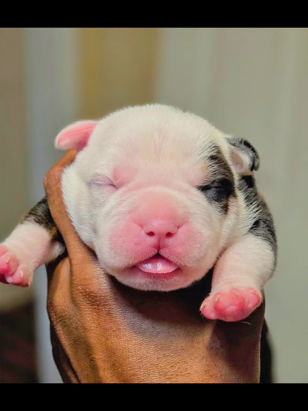 @125 BullyCamp