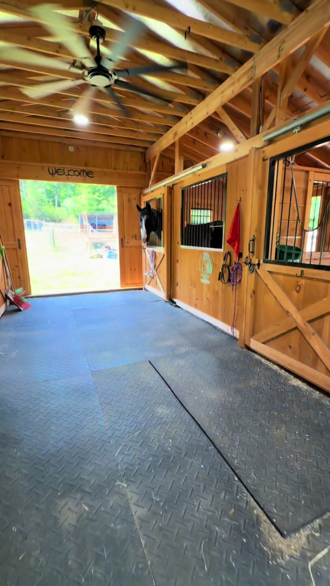 @Unshackled Hearts Ranch