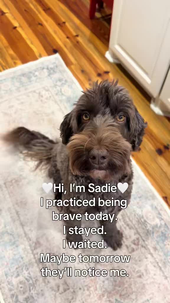 @Sadie the Doodle