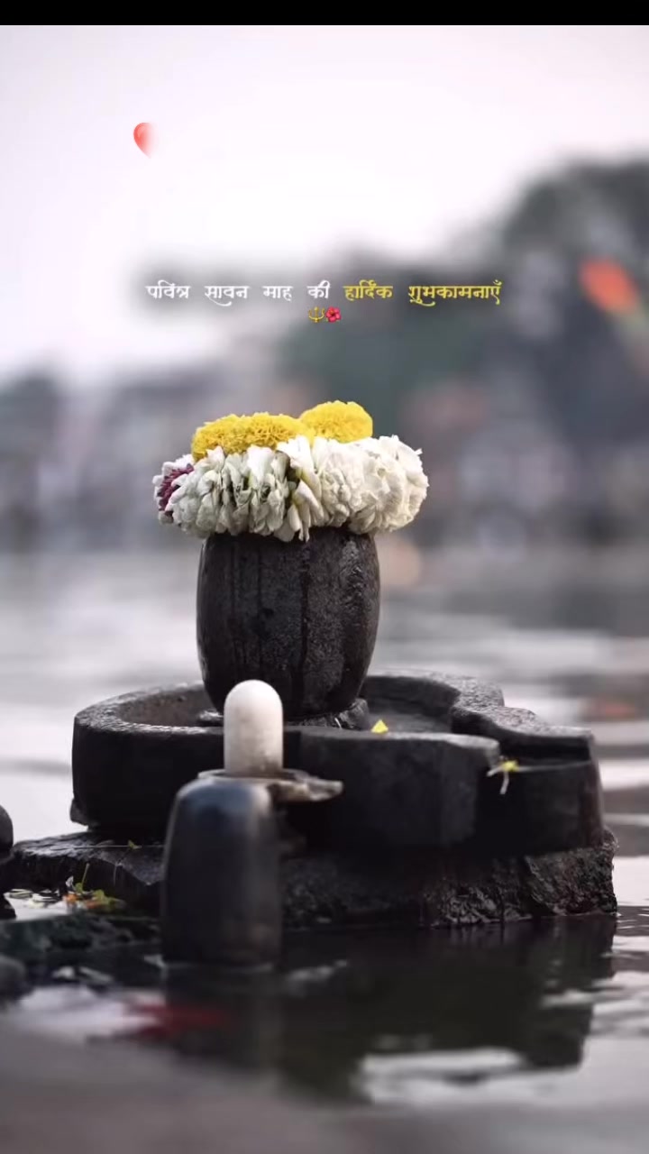 @🕉☘️Sujata❤🌻🦚