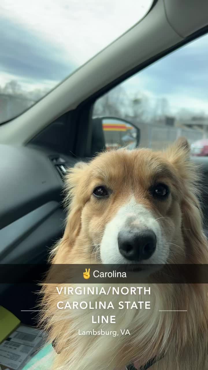 @lexifite00