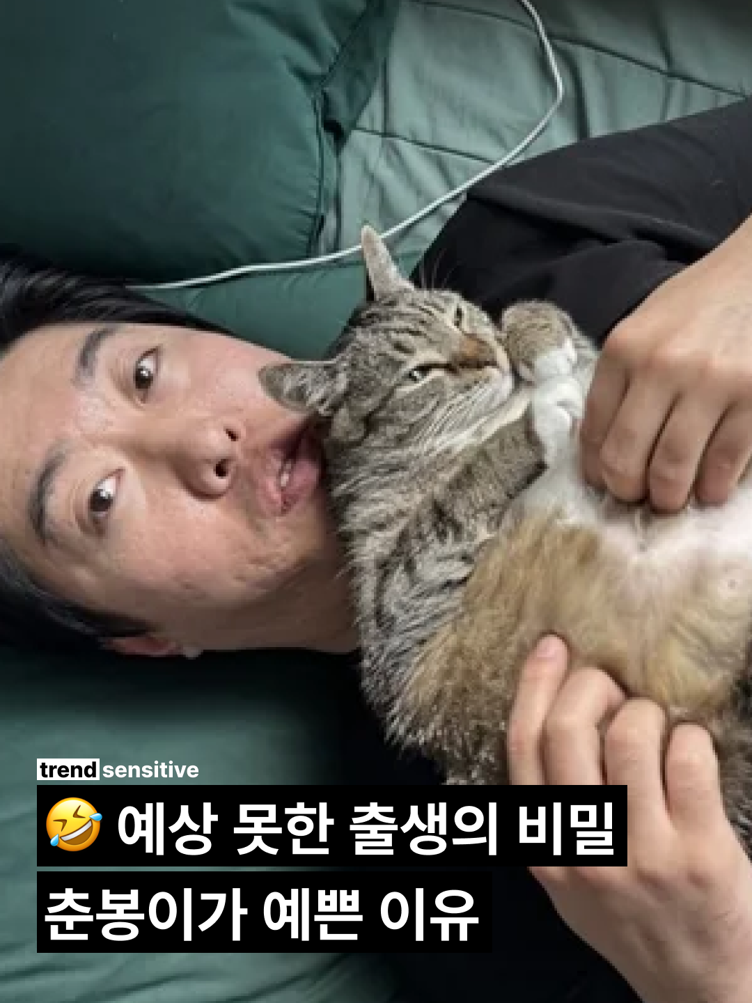 @트렌드 센서티브