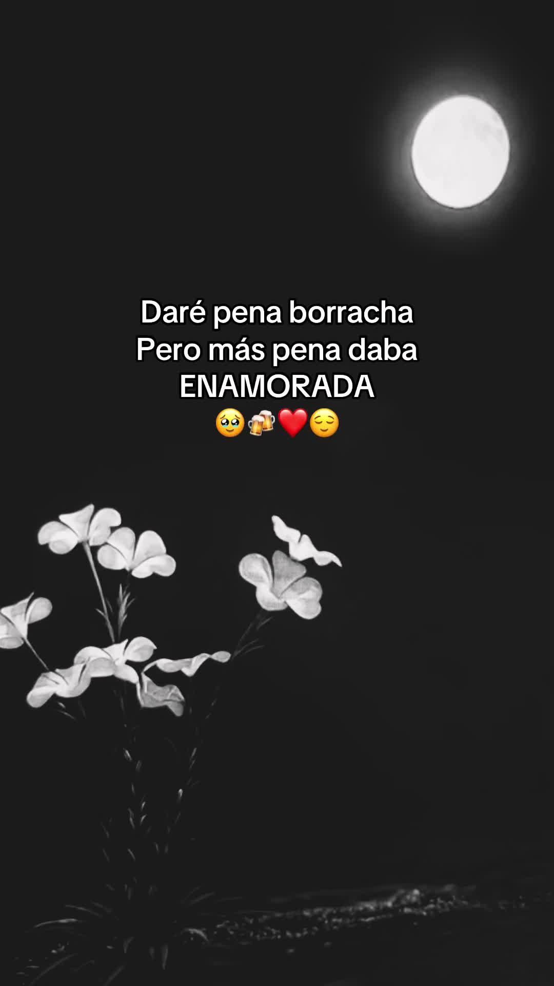 @Aida RamireZz❤️