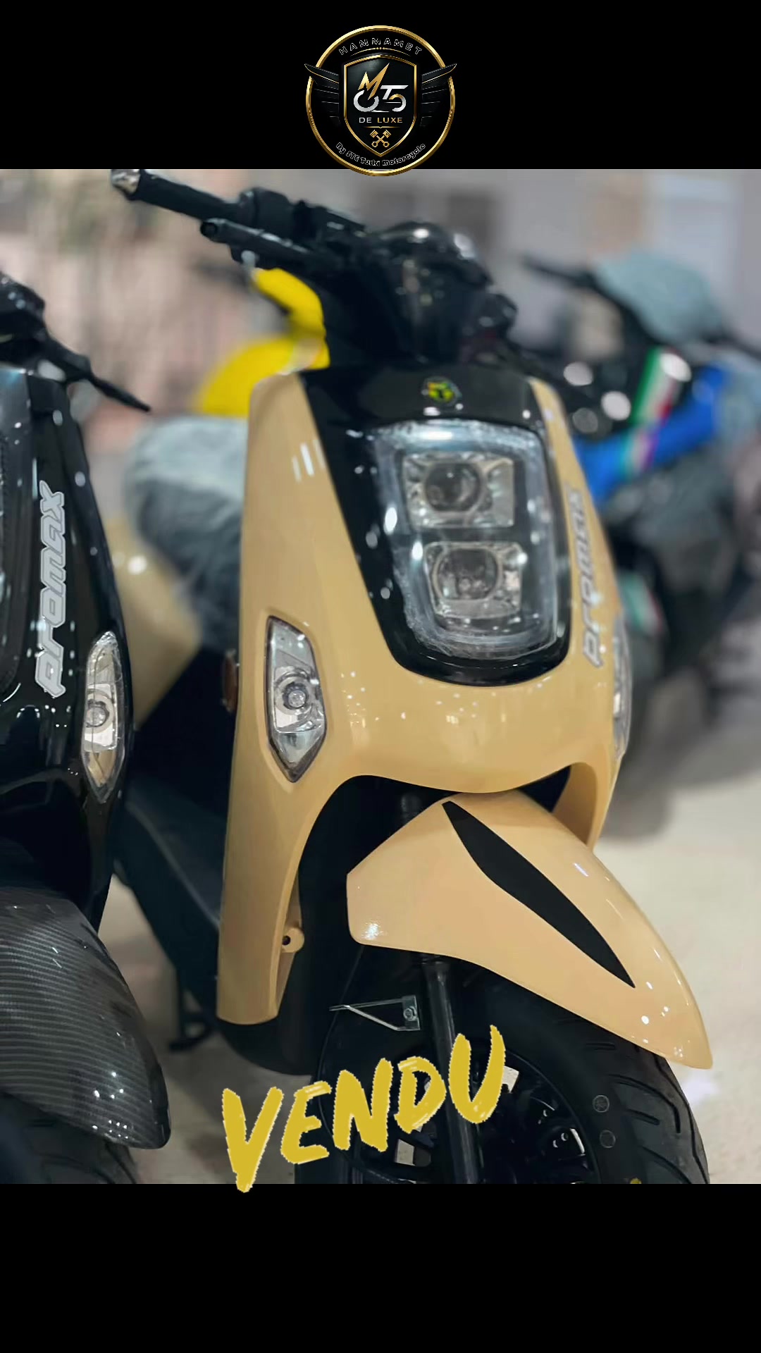 @moto de luxe hammamet