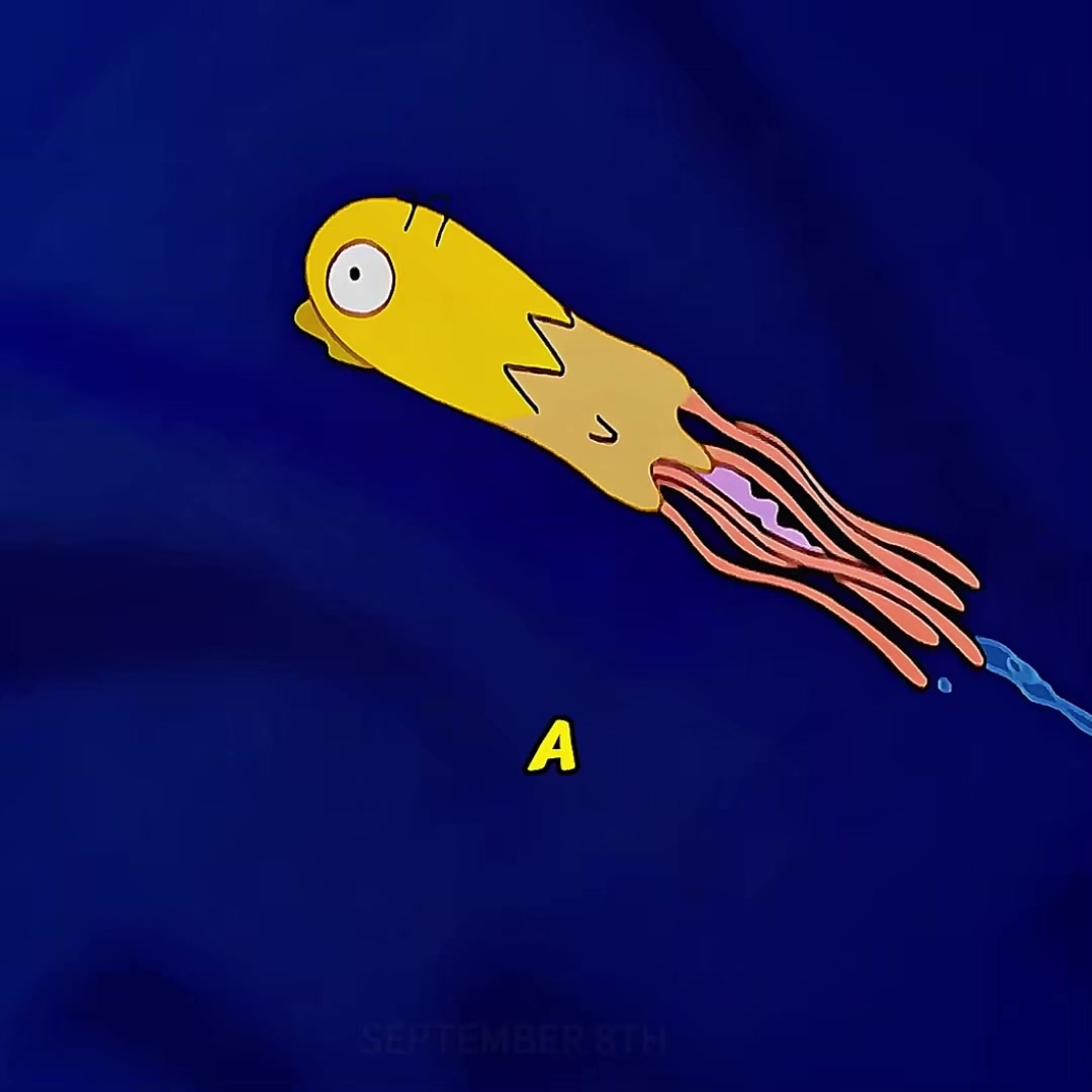 @𝒛𝒐𝒉𝒂𝒏 𝒗𝒍𝒐𝒈𝒆