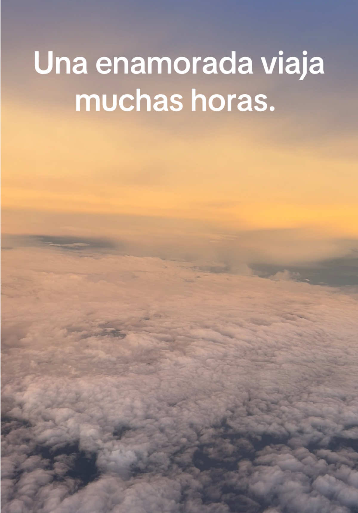 @Gina Valdez 🦋💖