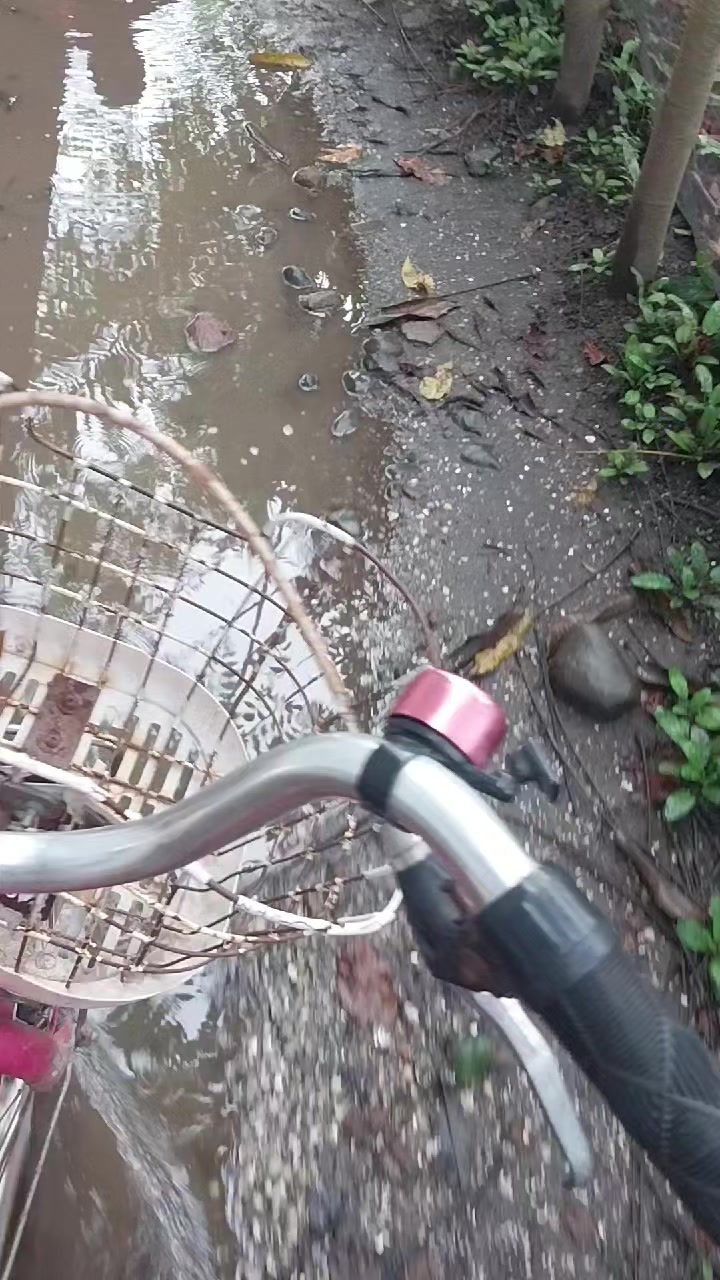 @𝙘𝙞𝙘𝙞𝙤𝙮𝙚_