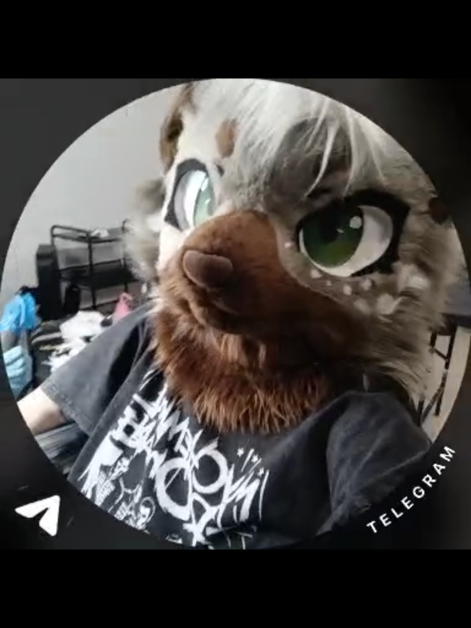 @LeraWolf_workshop