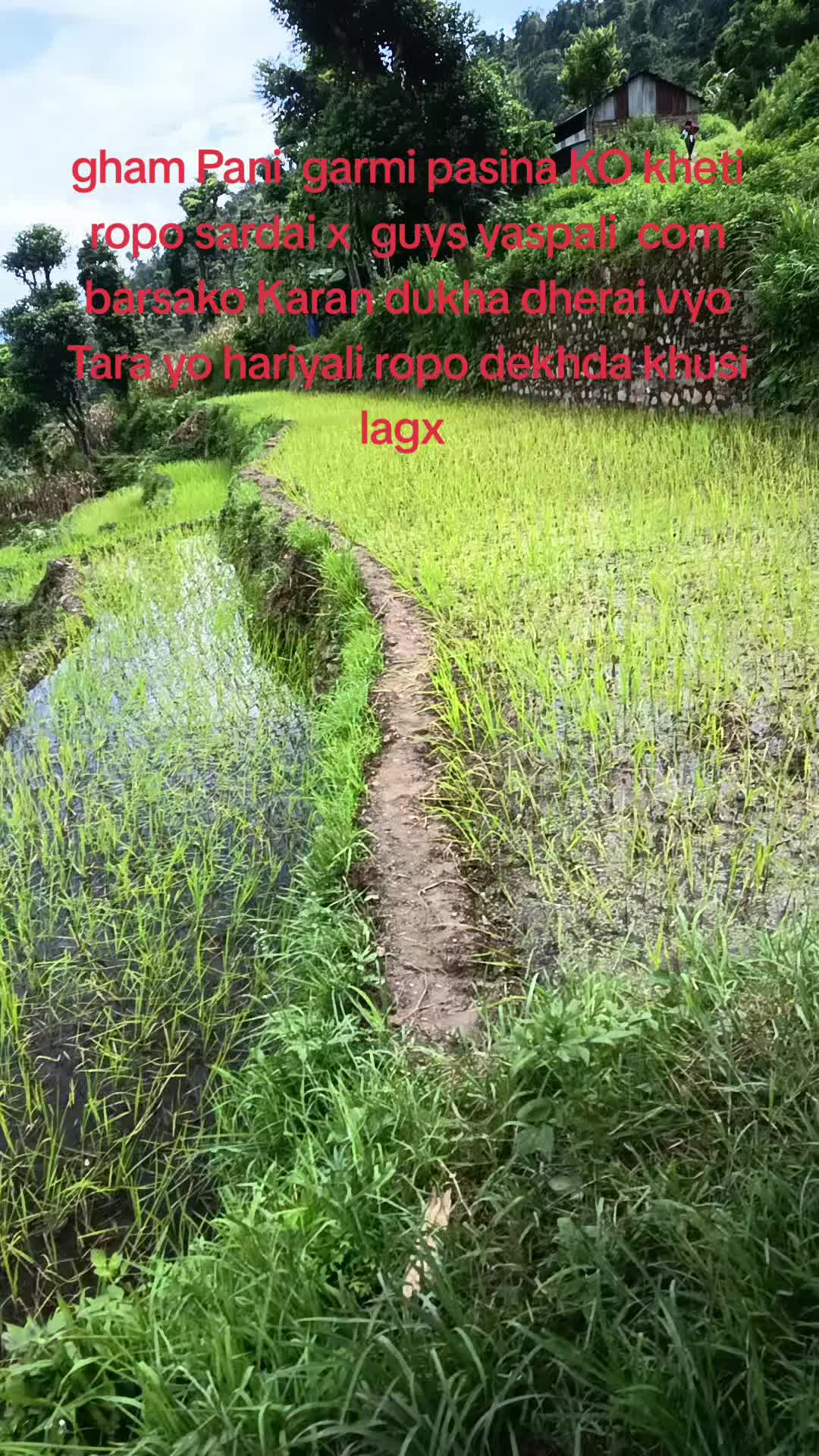 @수마너
