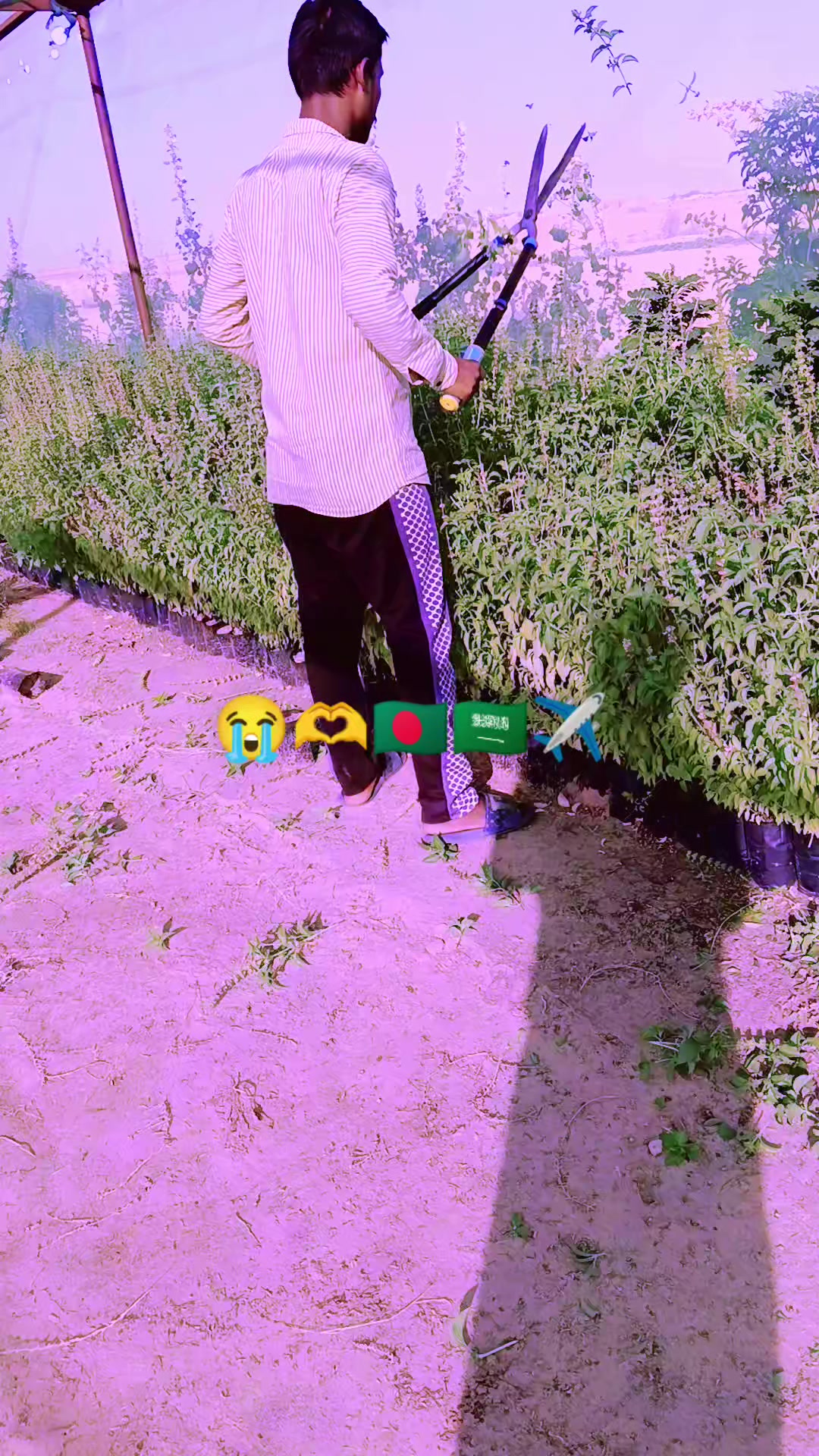 @Md Rakib