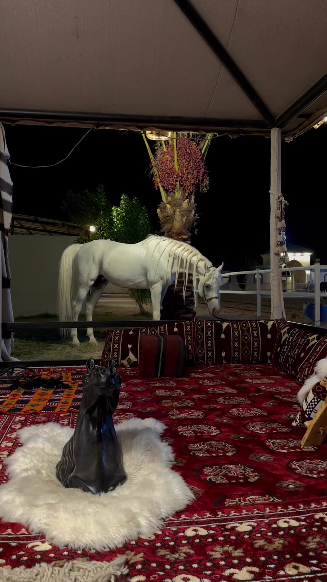 @هاني الدابس الشراري🐎