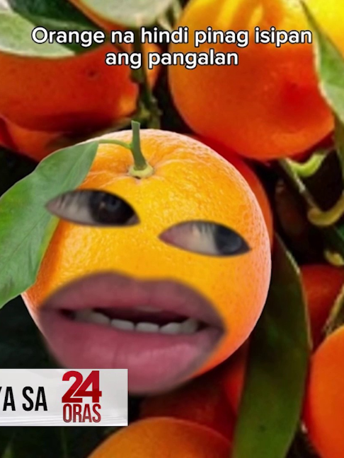 @24 Oras