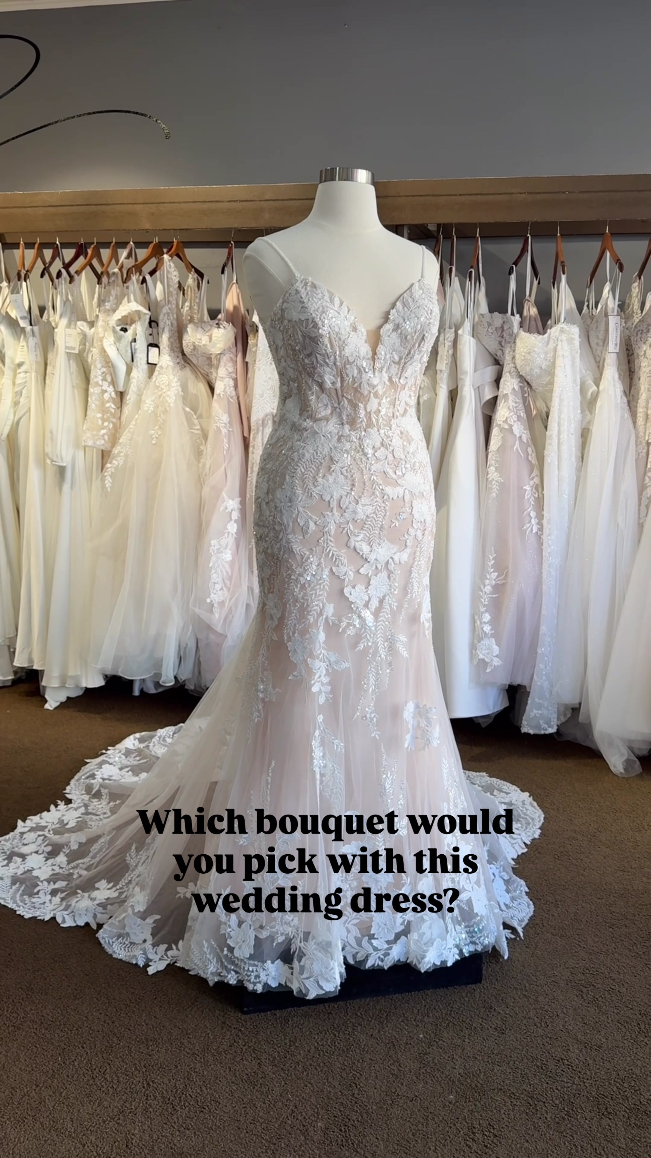 @Sandra D&rsquo;s Bridal Boutique