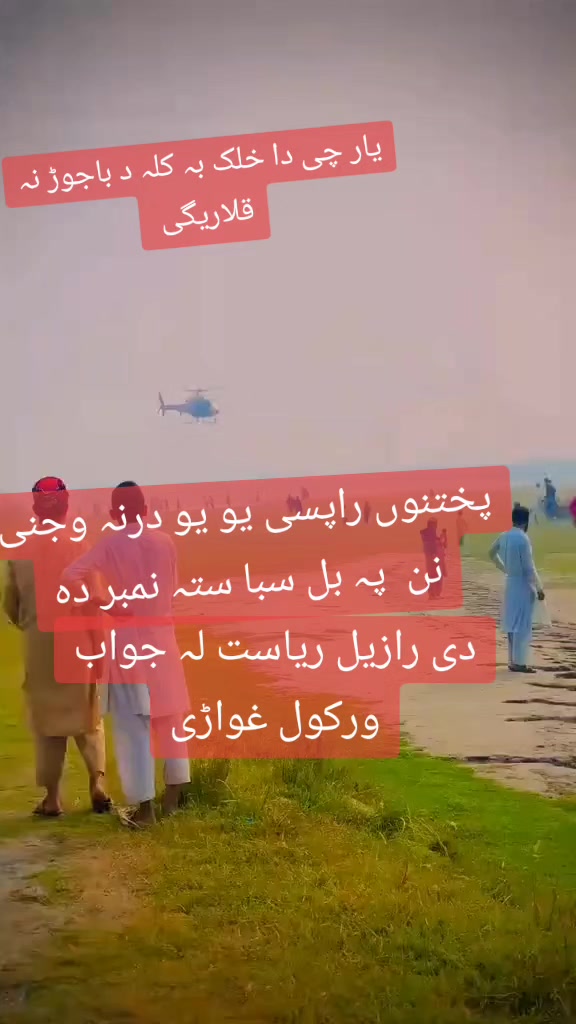 @🥇 تور۔ گل باجوڑ 🥇