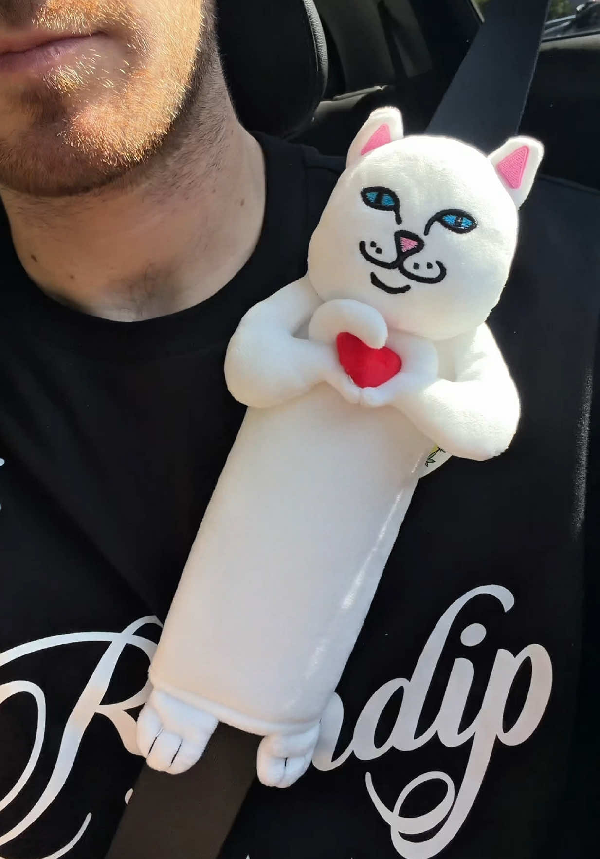 @RIPNDIP