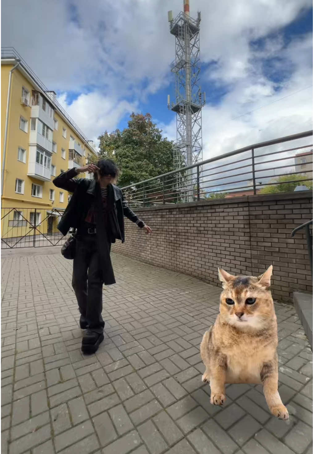 @петя кёльн