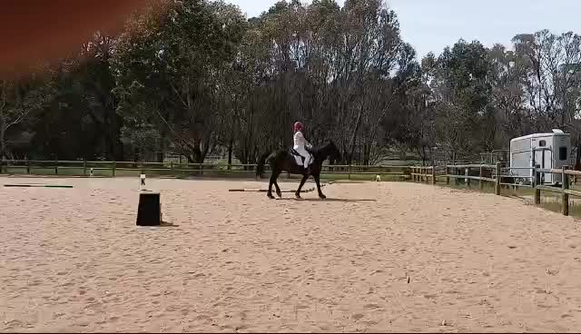 @sian_charlies_horsey_