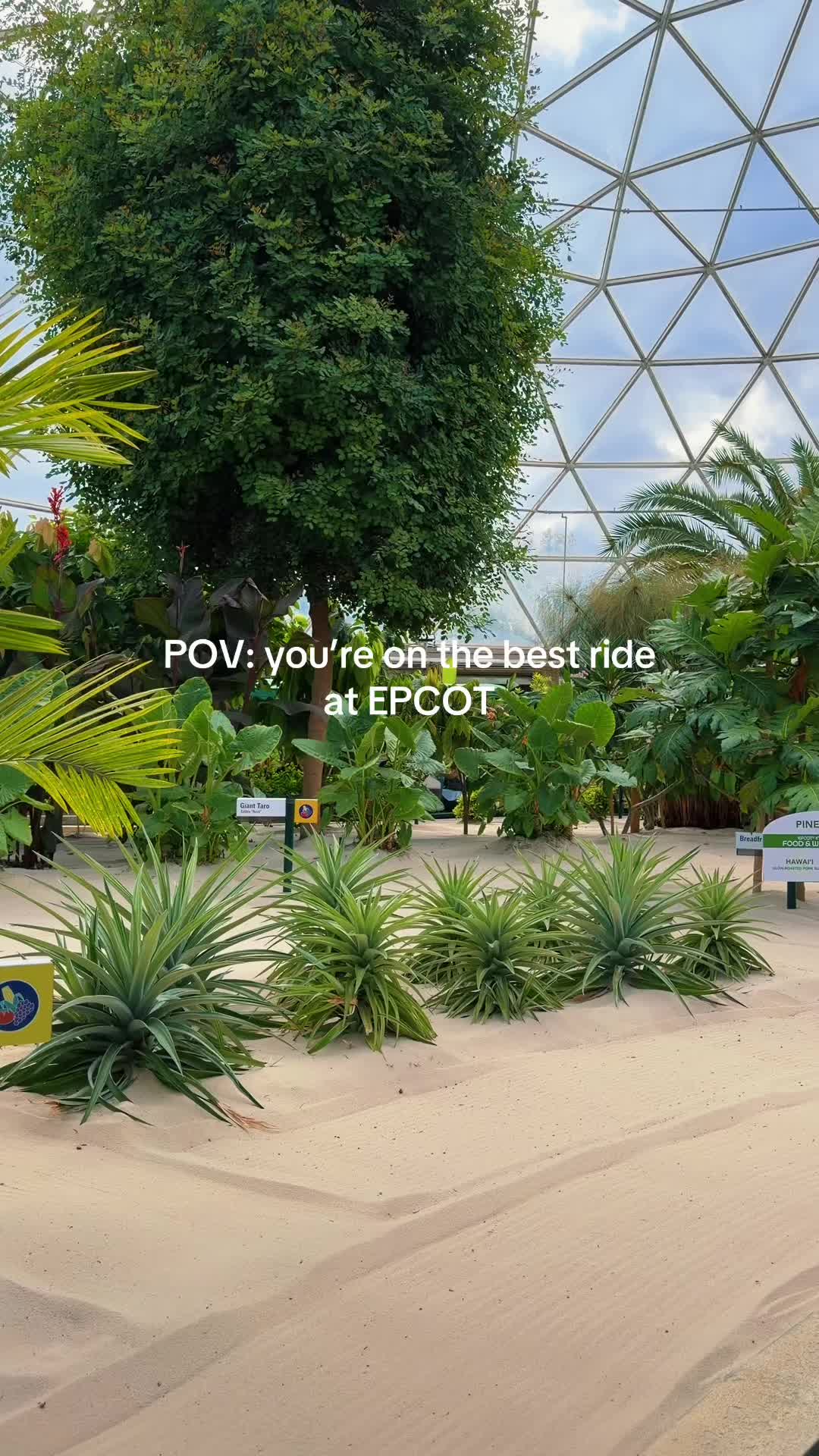 @Billy | Disney Dad Travels ๐ฐ
