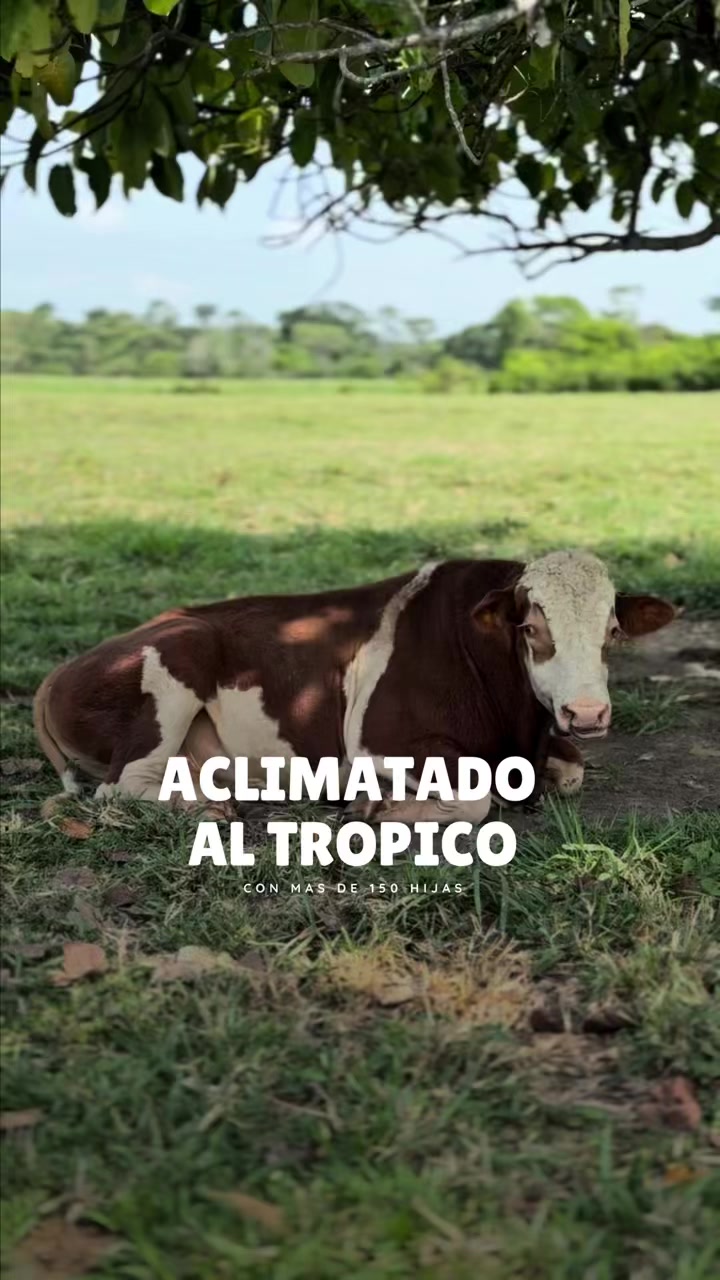 @Rehagronegocios