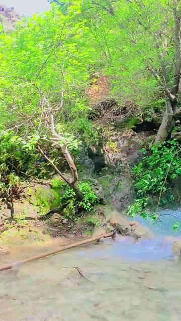 @Amin Afridi