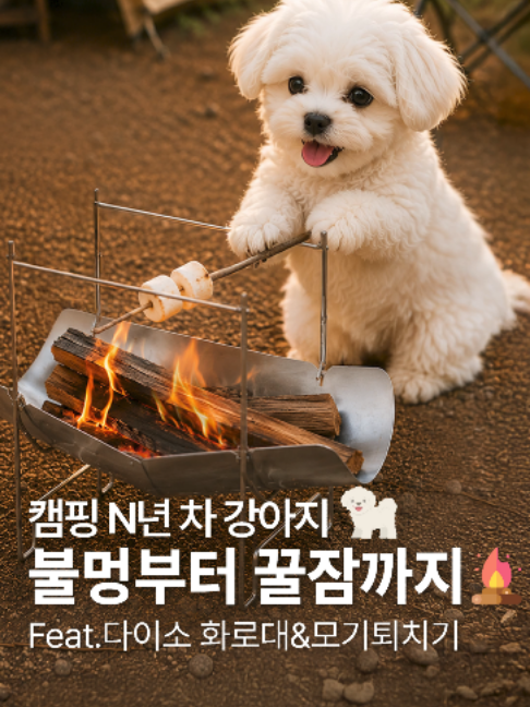 @다이소