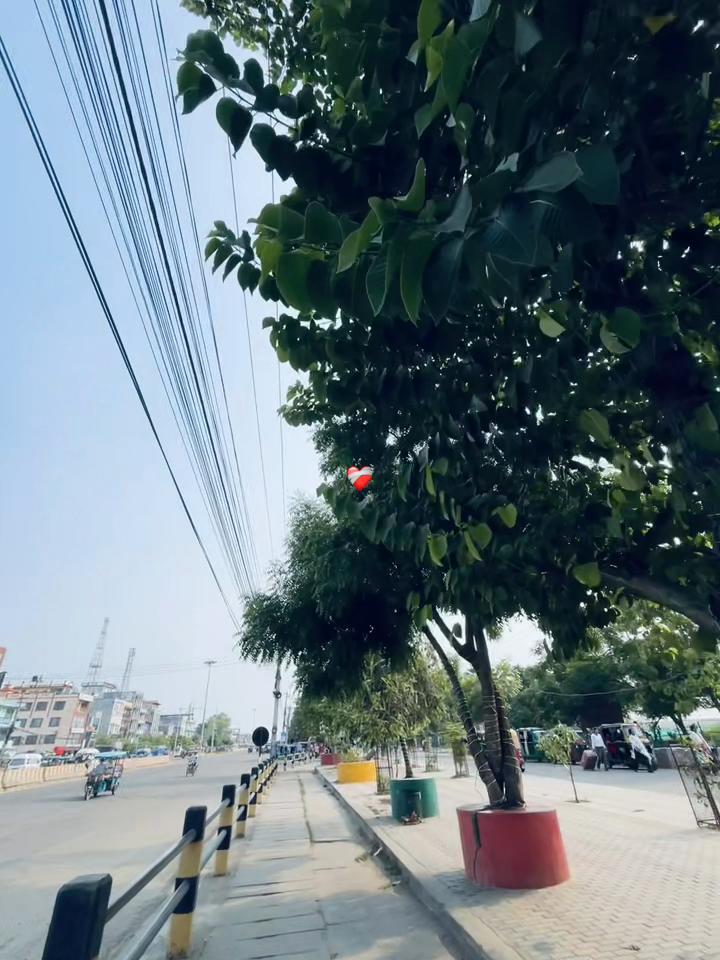 @jiteyyyyy🕸️