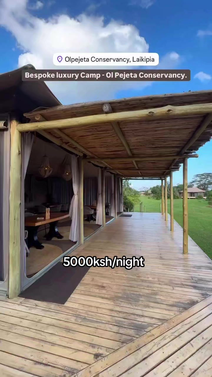 @SAFARI NEST