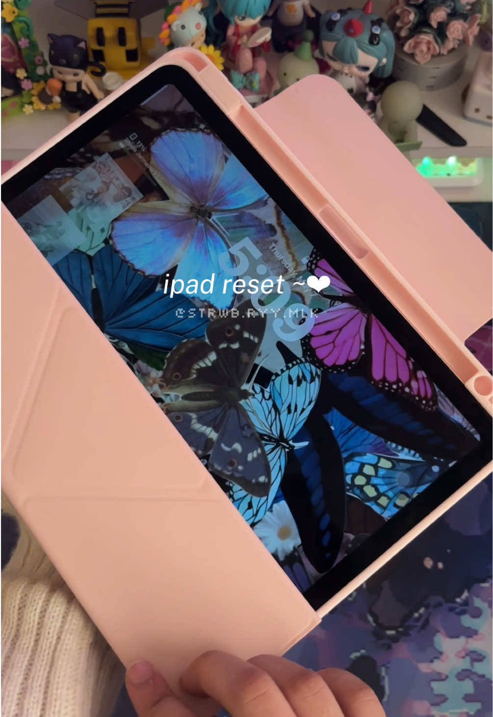 @‣cer ⭑.ᐟ