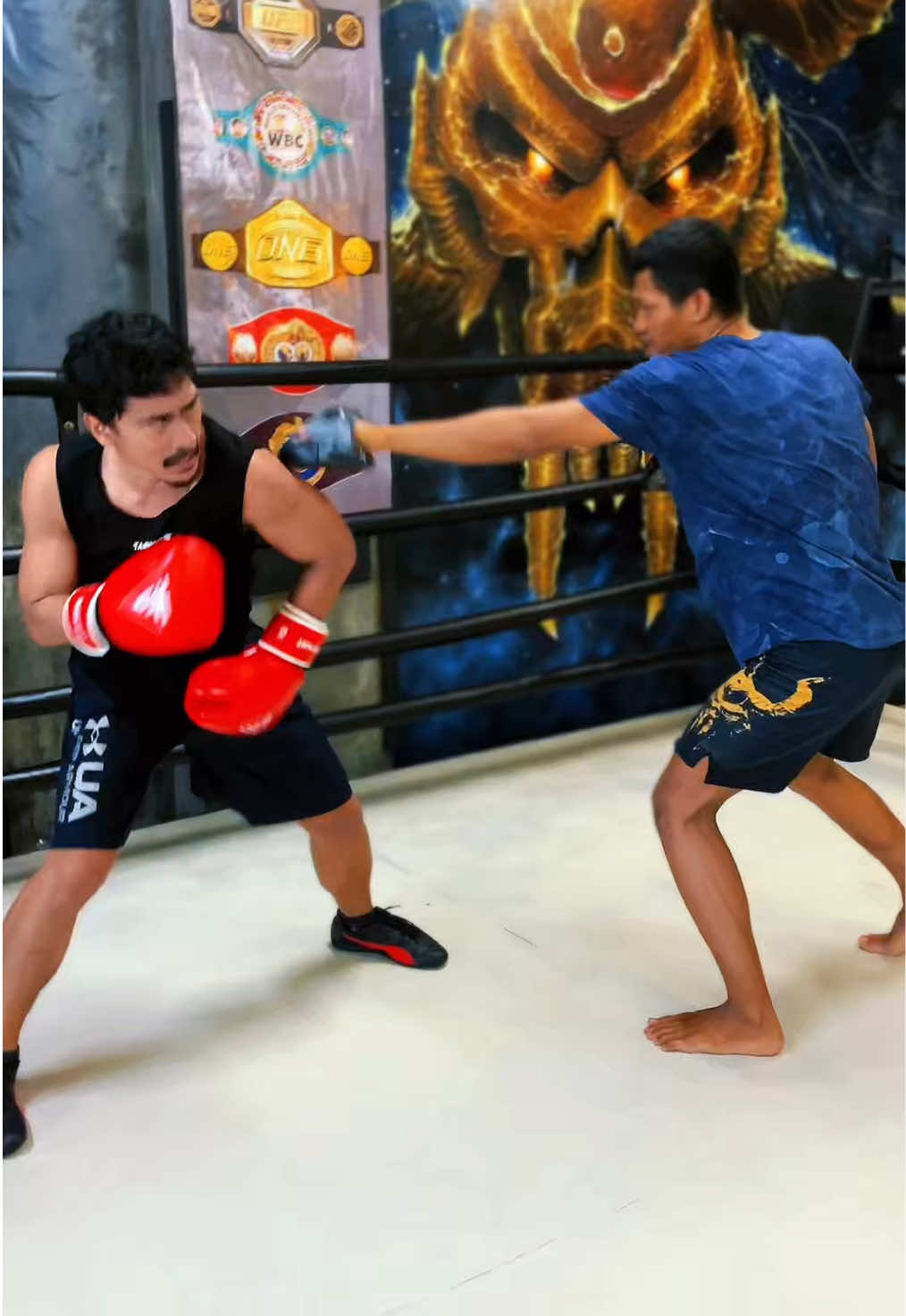 @warrior.mma_hq