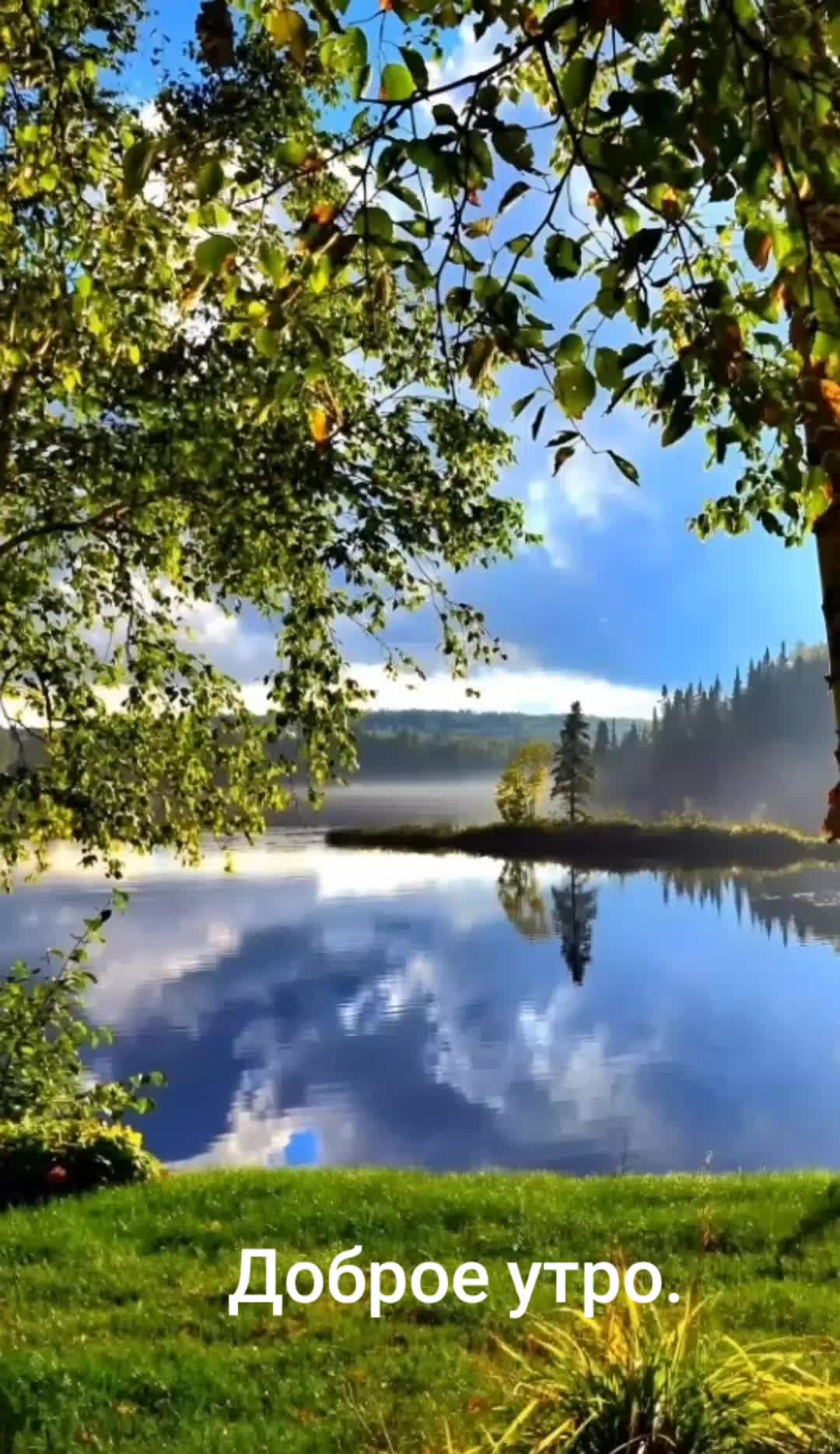 @user868645 Лидия. Срывова.