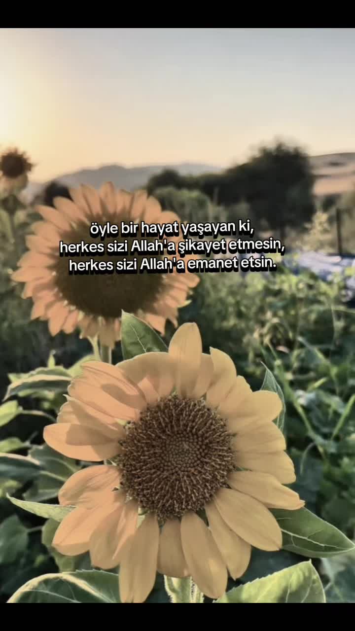 @اللَّه