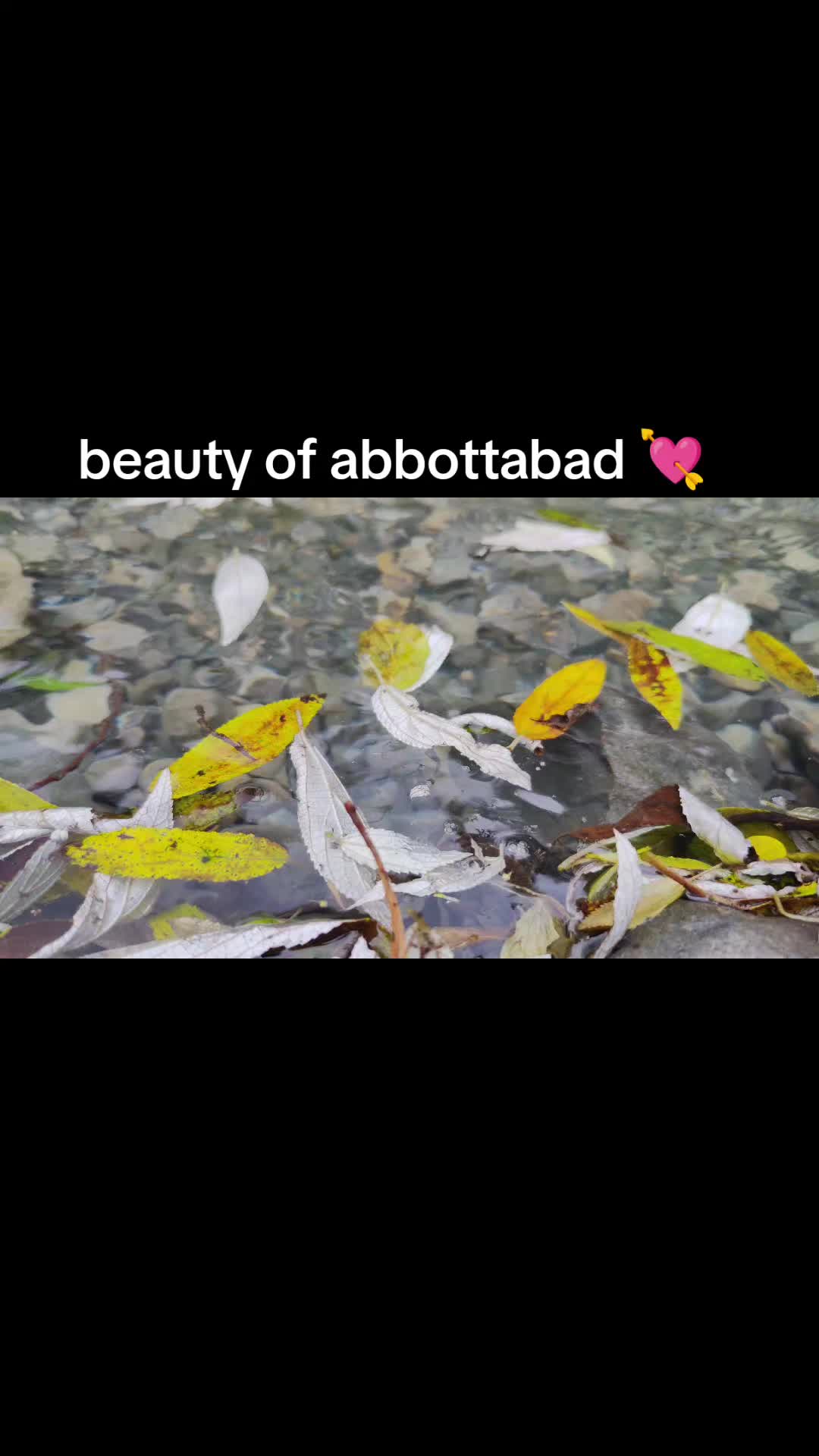 @༺🌷•⏤͟ᥫ᭡፝֟𝐏𝐚𝐤᭄ح𝐭𝐎𝐧⃟🐼√√