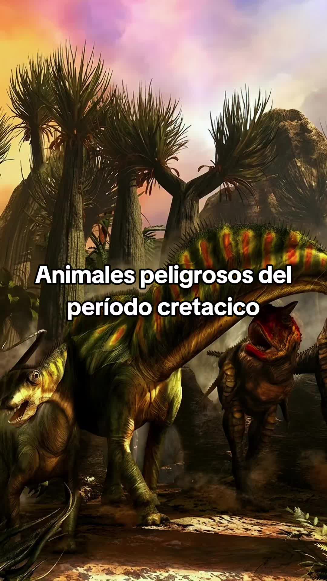 @Viva Historia