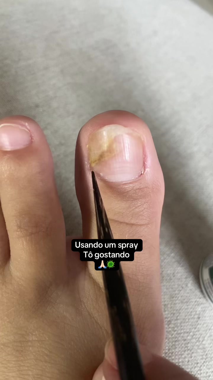 @Carolinaindica