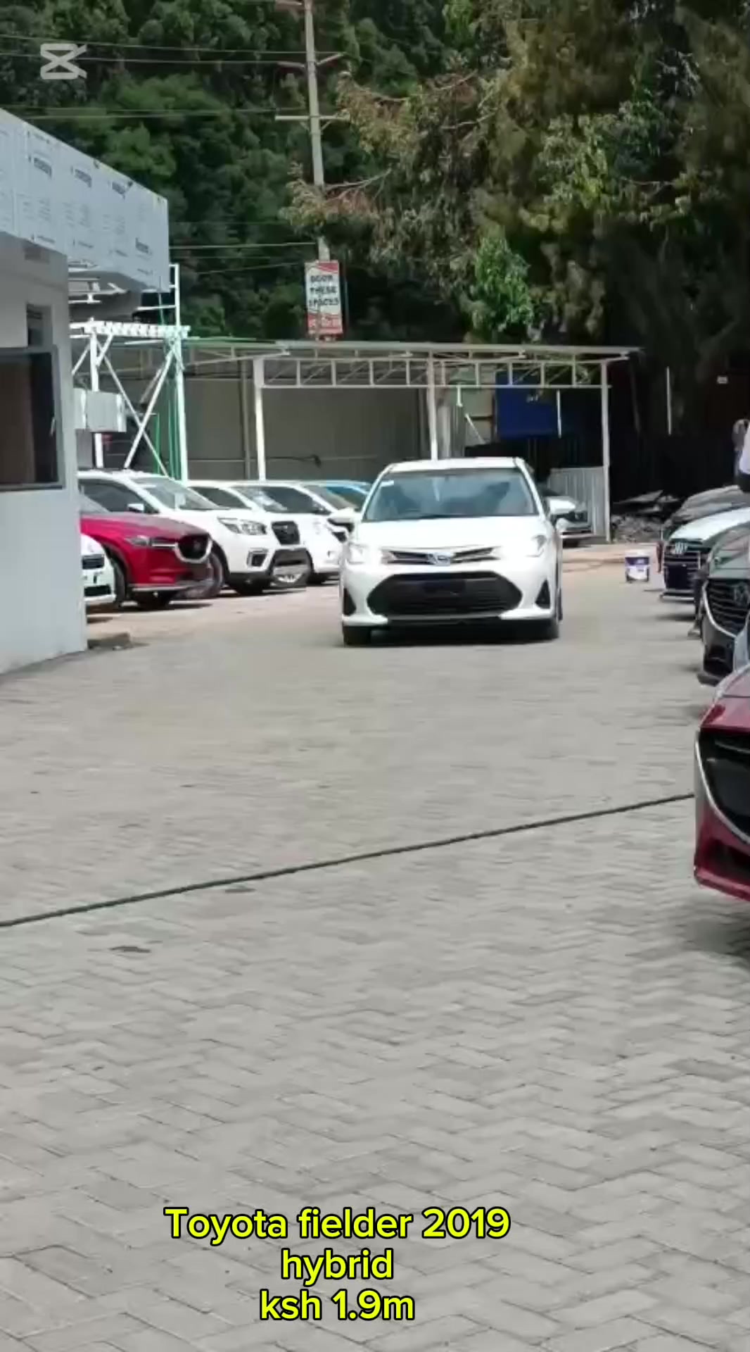 @JOLYD motors
