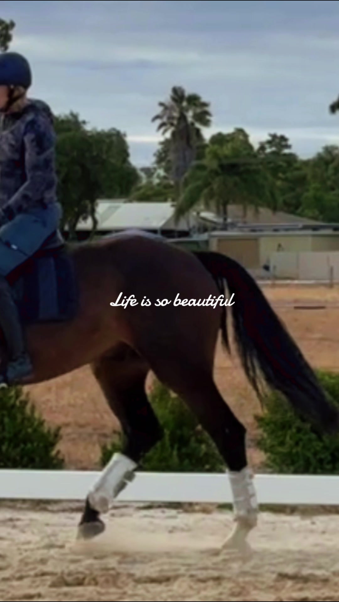 @Suzin- Para equestrian