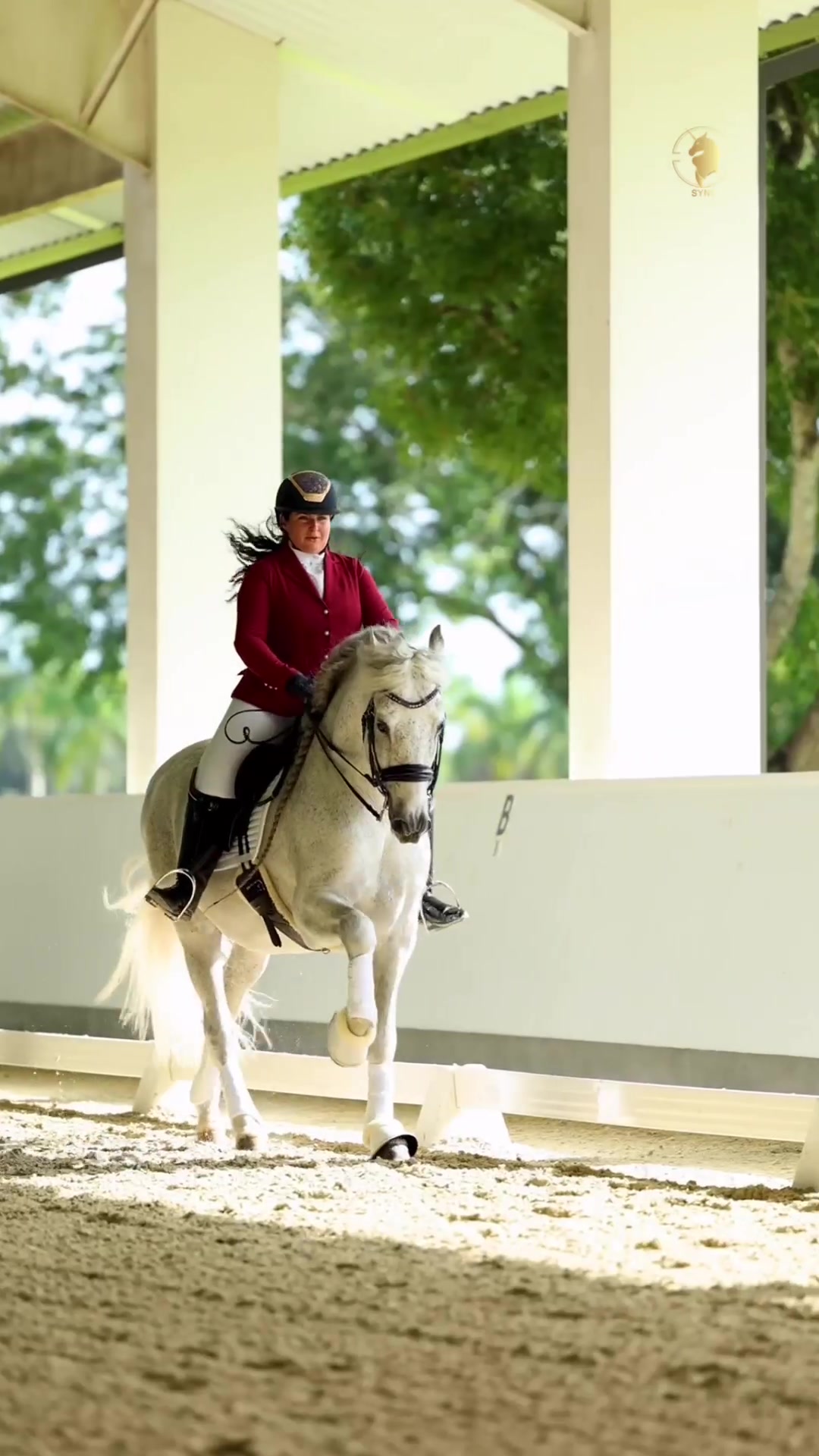 @Sync Equestrian