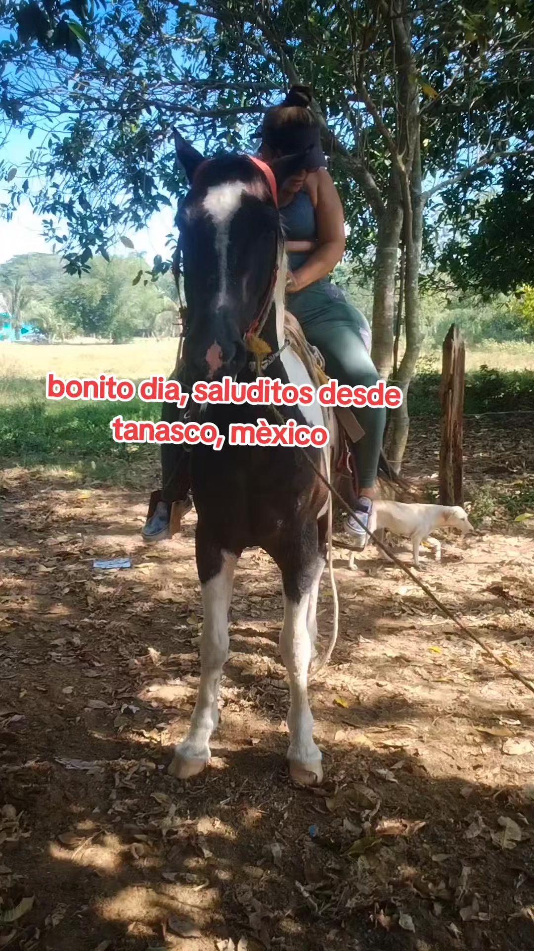 @Güerita Tabasqueñita 🌹🫶