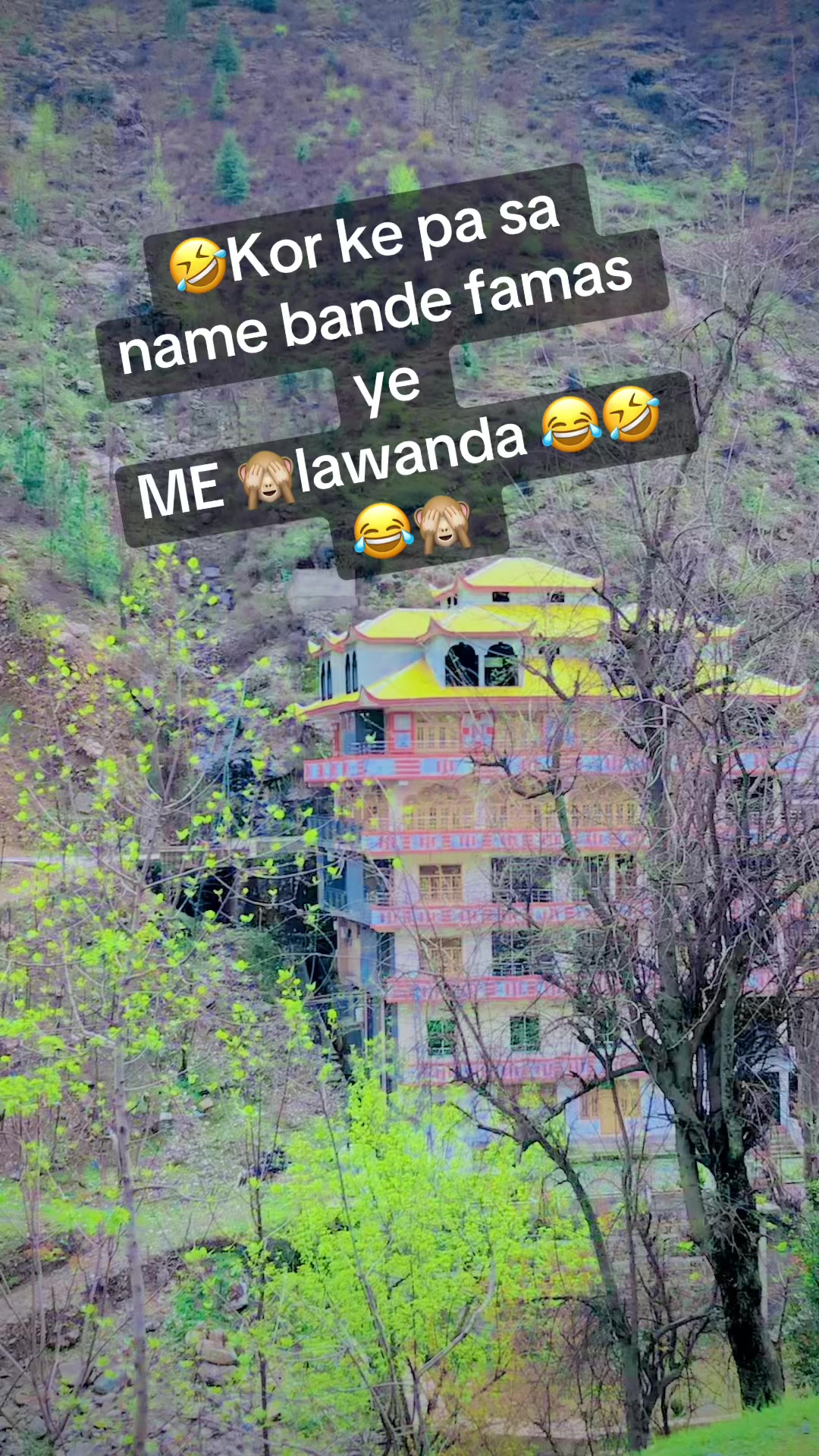 @🦋wafa🦋🌹