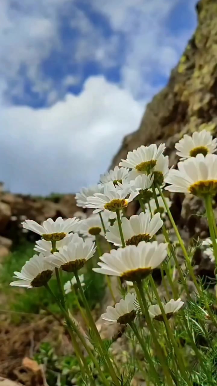 @_Hafizali61