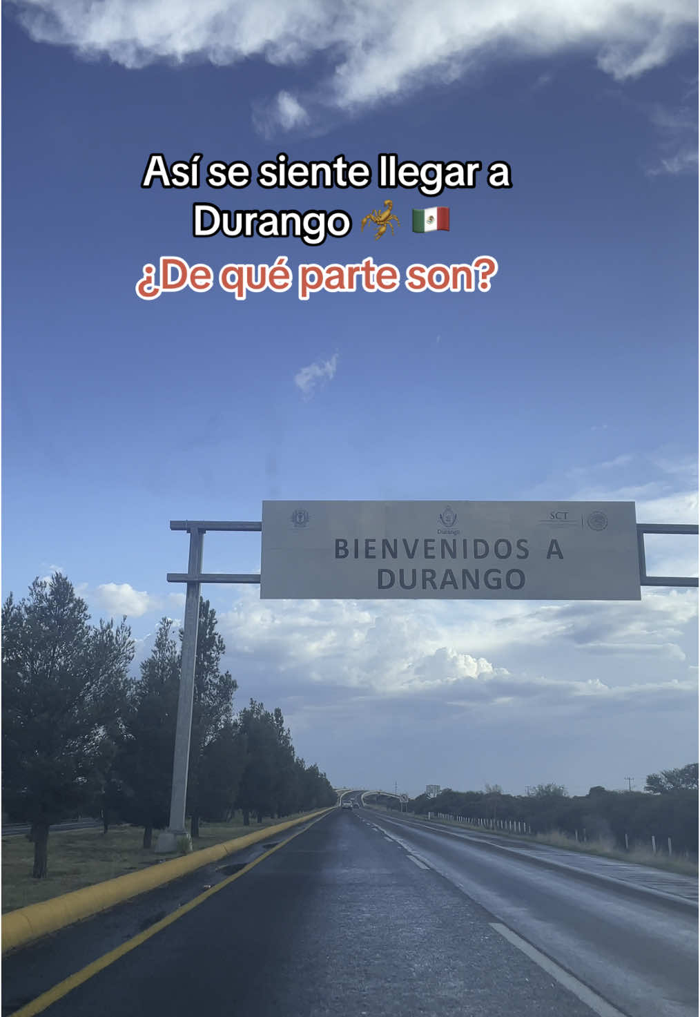 @Nataly MV