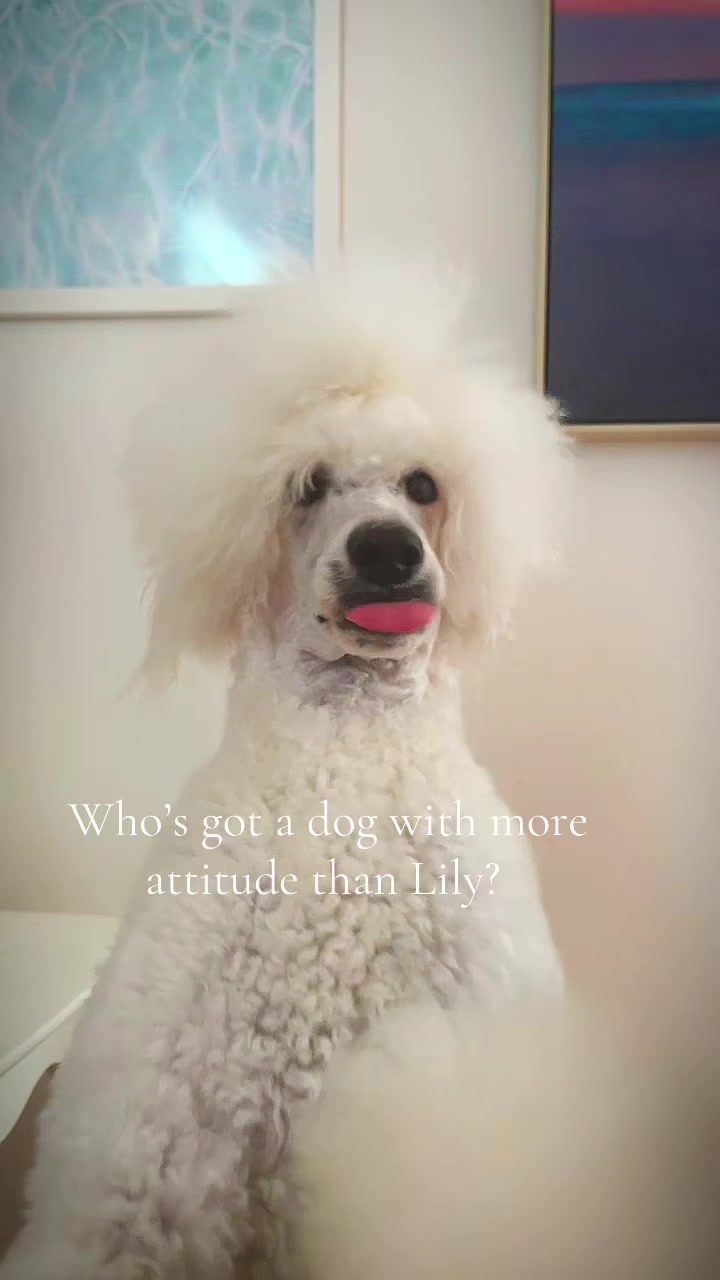 @packwalkdiaries