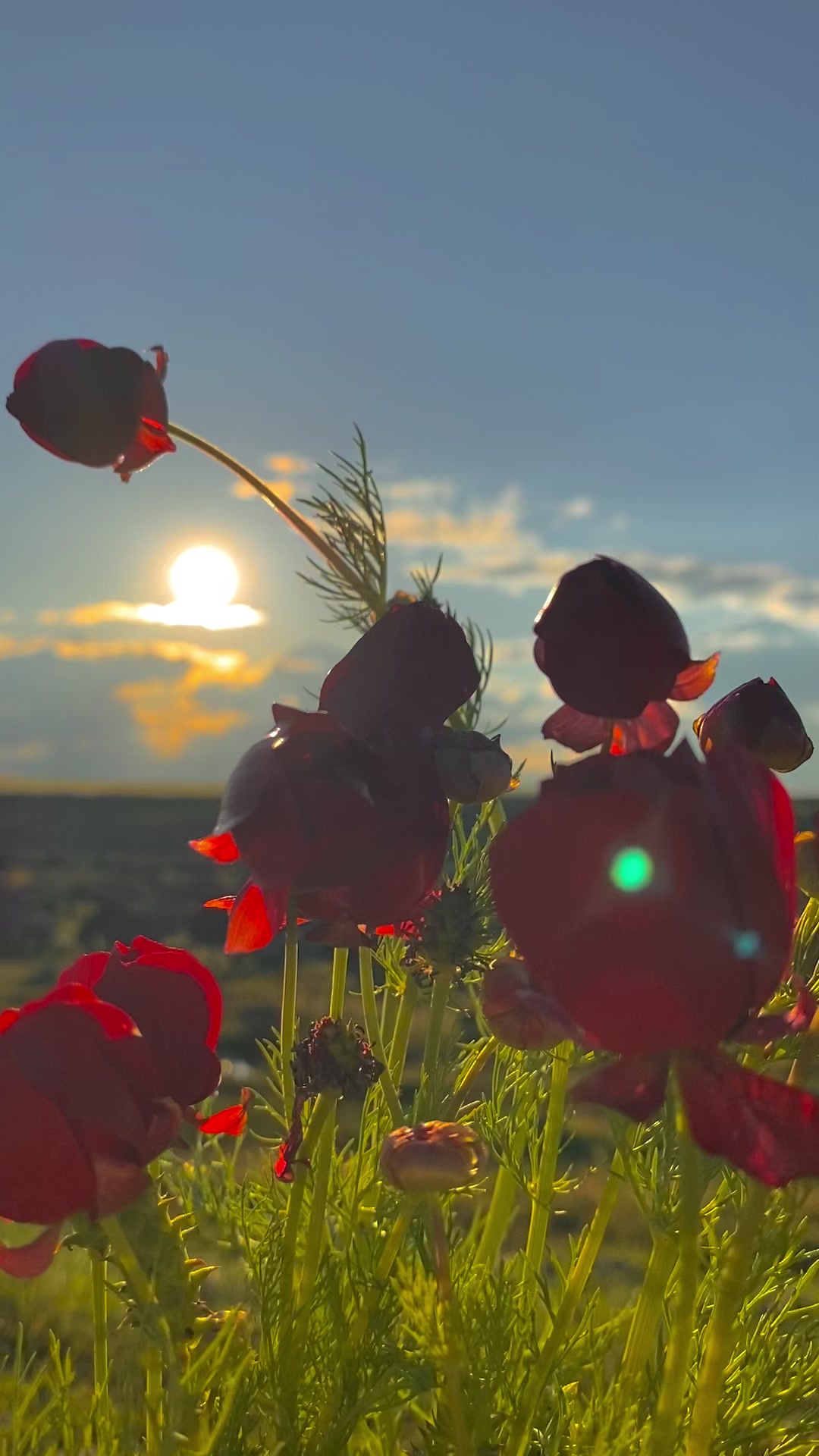 @ahmett_6334☀️